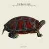 Boeren, Eric - Song for Tracy the Turtle - Live at Jazz Brugge 2004 Clean Feed CF 186
